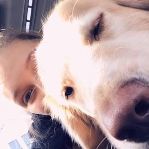 Meet your Posher, Haven